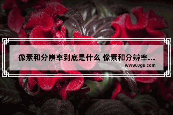 像素和分辨率到底是什么 像素和分辨率有什么区别
