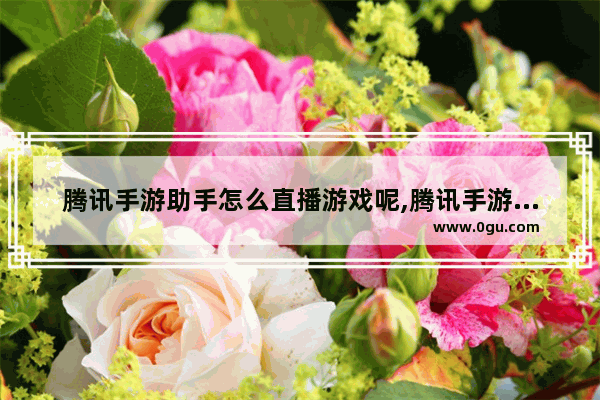 腾讯手游助手怎么直播游戏呢,腾讯手游助手怎么开直播