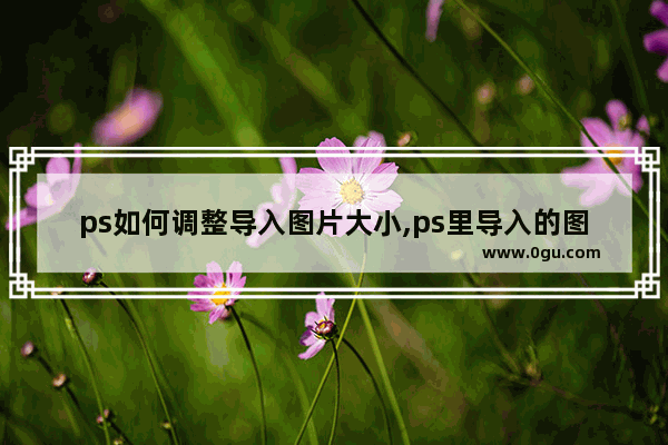 ps如何调整导入图片大小,ps里导入的图片大小怎么自由变换