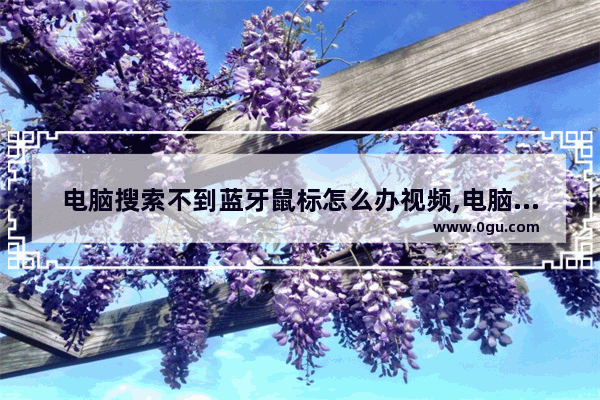 电脑搜索不到蓝牙鼠标怎么办视频,电脑搜索不到蓝牙鼠标是怎么回事