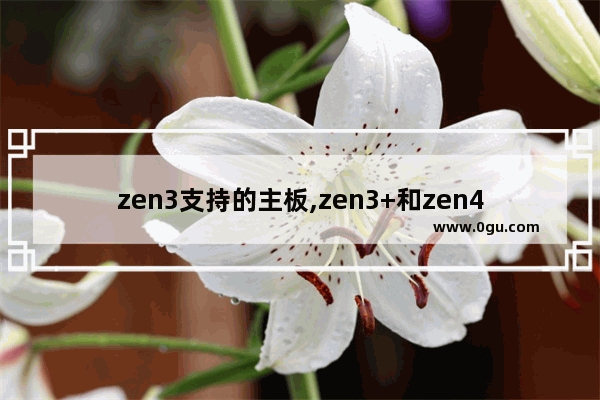 zen3支持的主板,zen3+和zen4