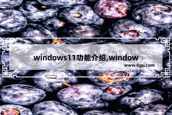 windows11功能介绍,windows11运行在哪