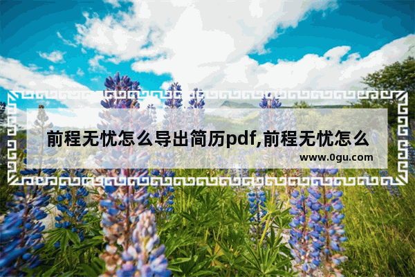 前程无忧怎么导出简历pdf,前程无忧怎么导出简历手机看不了