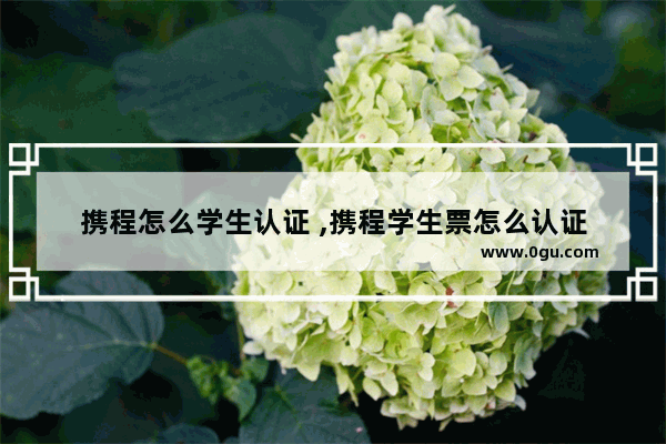 携程怎么学生认证 ,携程学生票怎么认证