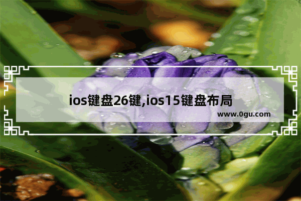 ios键盘26键,ios15键盘布局