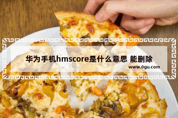 华为手机hmscore是什么意思 能删除吗,hmscore如何卸载