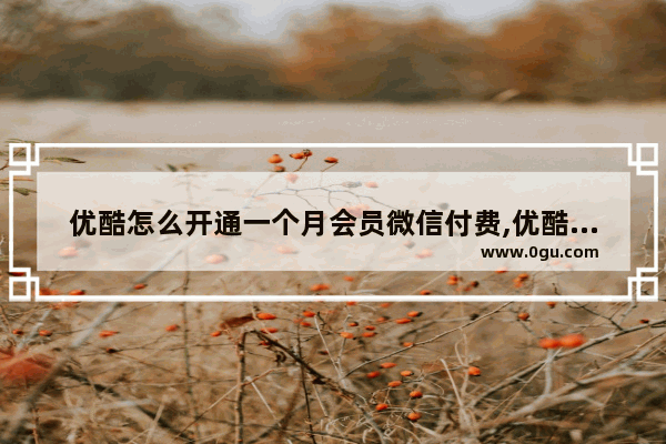 优酷怎么开通一个月会员微信付费,优酷怎么开通一个月会员微信