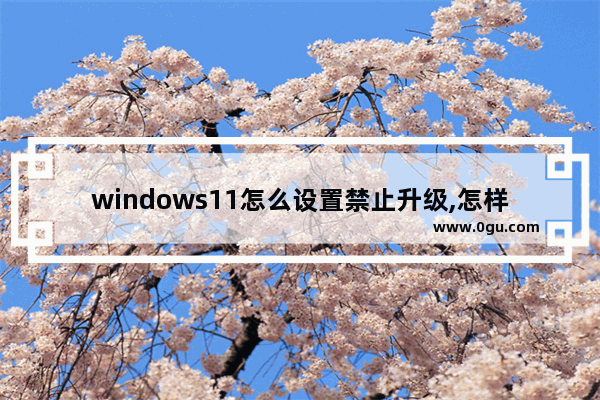 windows11怎么设置禁止升级,怎样阻止win10升级到win11