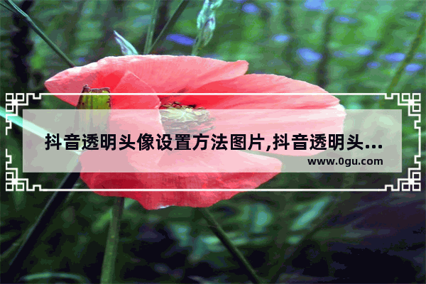 抖音透明头像设置方法图片,抖音透明头像设置方法在哪里