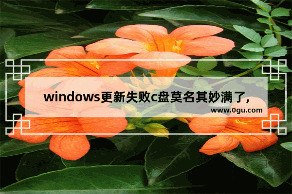 windows更新失败c盘莫名其妙满了,win10更新完之后C盘占用过多