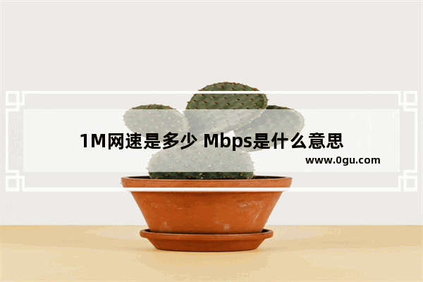 1M网速是多少 Mbps是什么意思