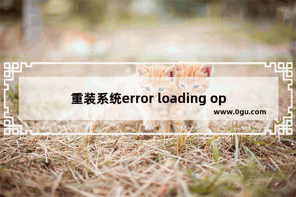 重装系统error loading operating system怎么办,u盘启动loading operating system