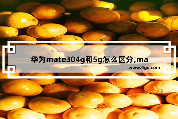 华为mate304g和5g怎么区分,mate30 4g5g区别