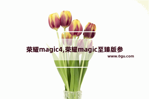 荣耀magic4,荣耀magic至臻版参数