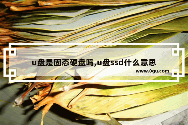 u盘是固态硬盘吗,u盘ssd什么意思