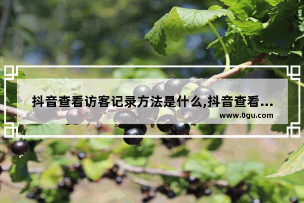 抖音查看访客记录方法是什么,抖音查看访客记录方法有哪些