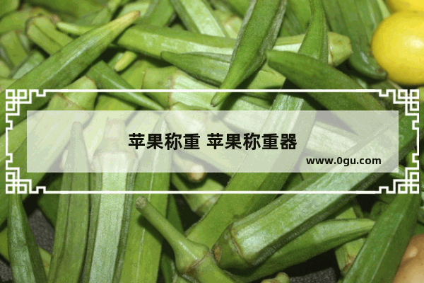 苹果称重 苹果称重器