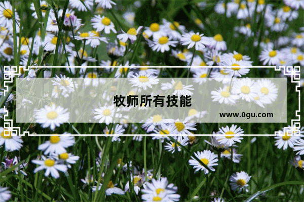 牧师所有技能