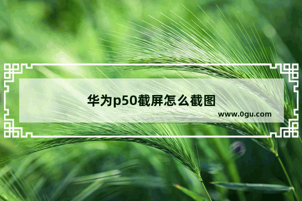华为p50截屏怎么截图