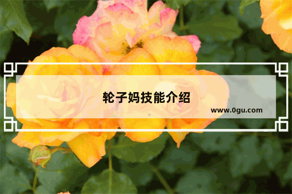 轮子妈技能介绍