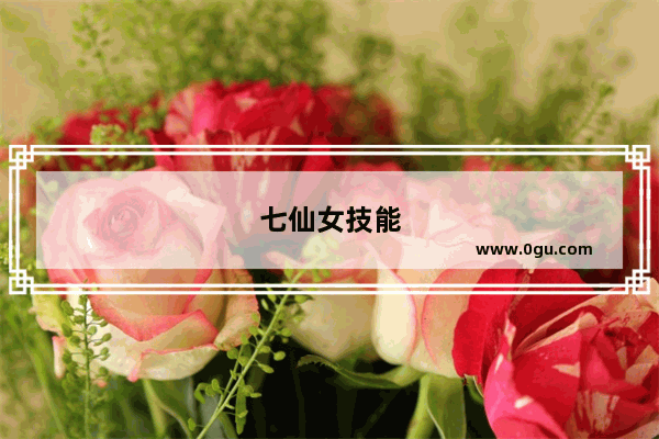 七仙女技能