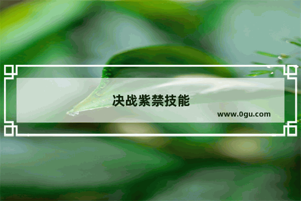 决战紫禁技能