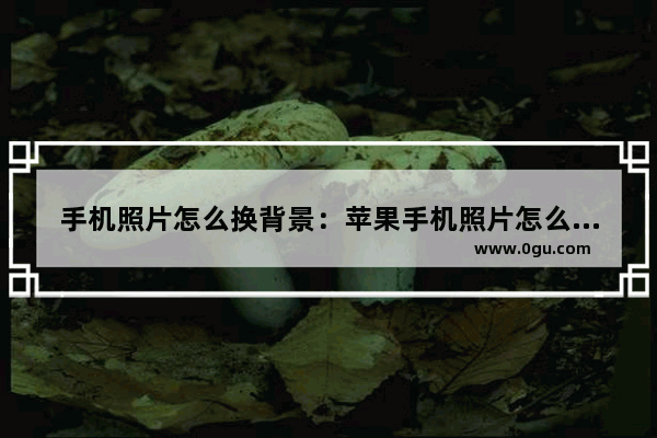 手机照片怎么换背景：苹果手机照片怎么换背景图