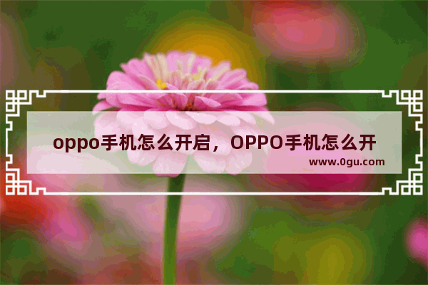 oppo手机怎么开启，OPPO手机怎么开启微信美颜功能