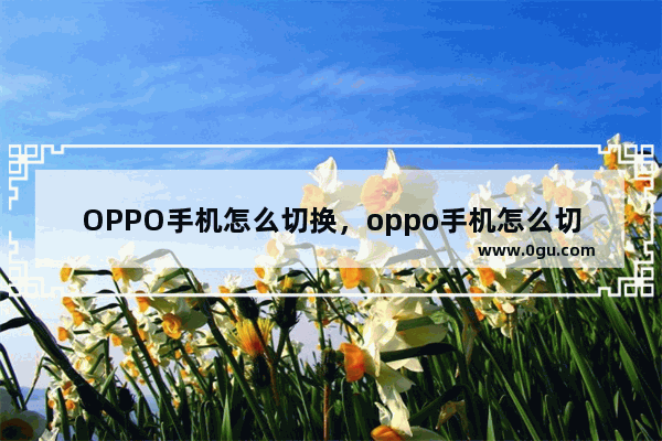 OPPO手机怎么切换，oppo手机怎么切换上网卡