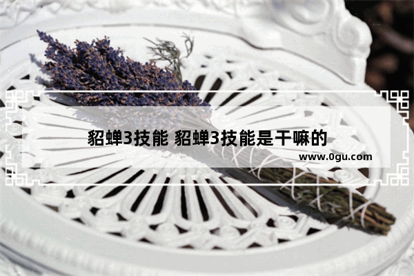 貂蝉3技能 貂蝉3技能是干嘛的
