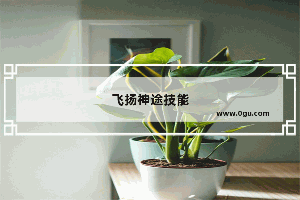 飞扬神途技能