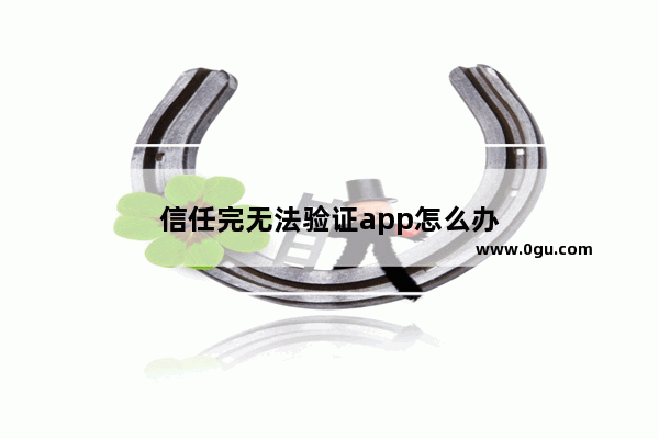 信任完无法验证app怎么办