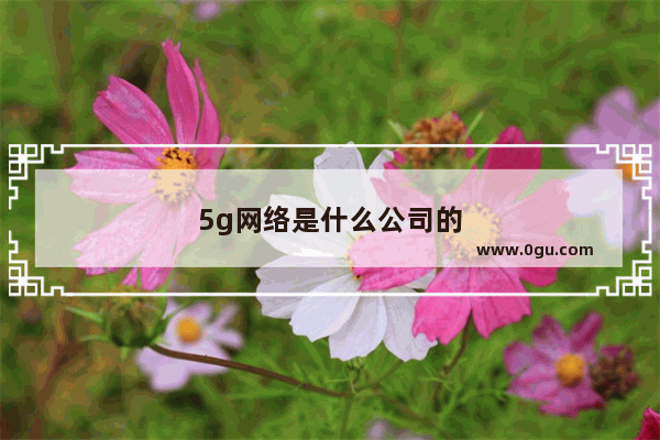 5g网络是什么公司的