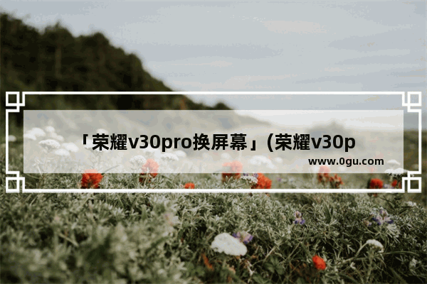 「荣耀v30pro换屏幕」(荣耀v30pro换屏幕总成多少钱)