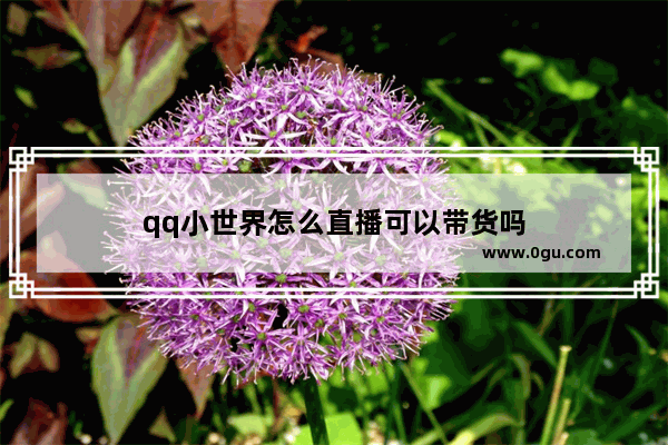 qq小世界怎么直播可以带货吗