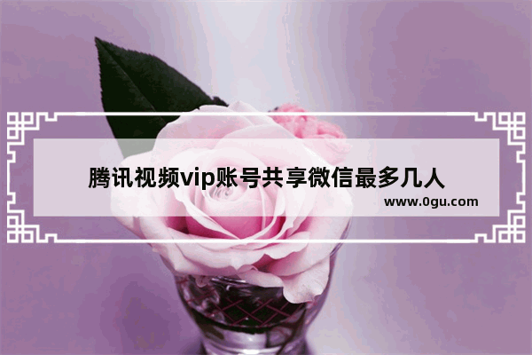腾讯视频vip账号共享微信最多几人