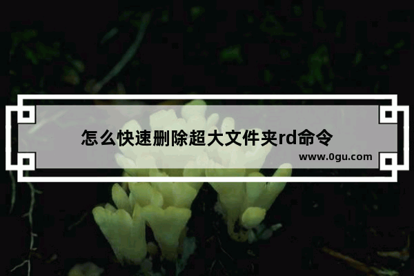 怎么快速删除超大文件夹rd命令