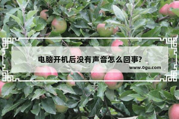 电脑开机后没有声音怎么回事?
