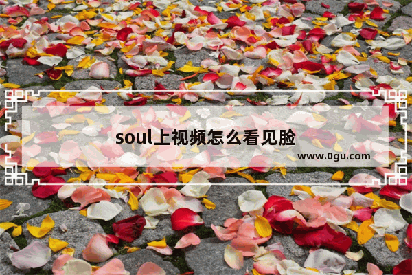 soul上视频怎么看见脸