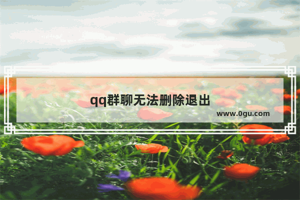 qq群聊无法删除退出
