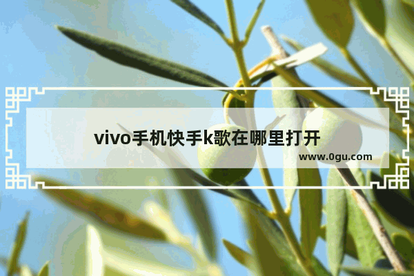 vivo手机快手k歌在哪里打开