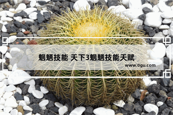 魍魉技能 天下3魍魉技能天赋