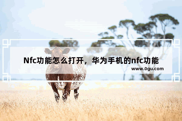 Nfc功能怎么打开，华为手机的nfc功能怎么打开