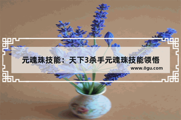 元魂珠技能：天下3杀手元魂珠技能领悟