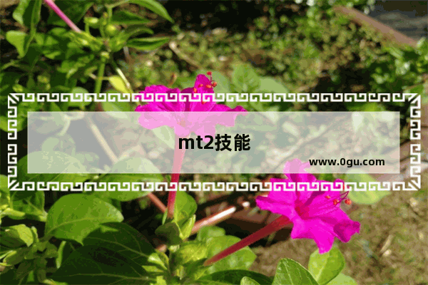 mt2技能
