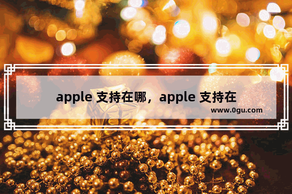 apple 支持在哪，apple 支持在哪下载