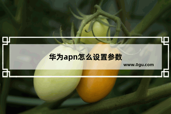 华为apn怎么设置参数