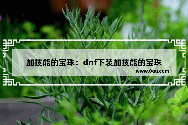 加技能的宝珠：dnf下装加技能的宝珠