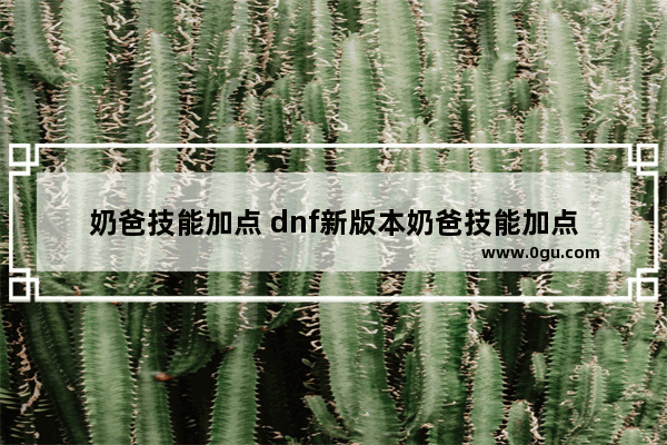 奶爸技能加点 dnf新版本奶爸技能加点