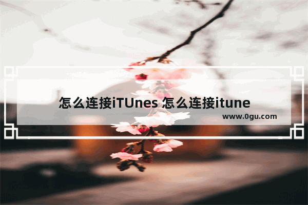 怎么连接iTUnes 怎么连接itunes激活iphone7